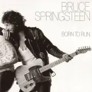 Bruce Springsteen Iron On Transfer For T-Shirt + Other Light & Dark Fabrics #2