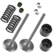 2x Exhaust Valve Kit for Honda 14721-HL4-000 14751-HL4-000 14731-MCA-000