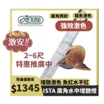 ISTA 伊士達 水中增豔燈 2尺 3尺 4尺 5尺 6尺 廣角 紅龍/血鸚鵡/七彩/金魚/羅漢 水中燈/艾諾芬/艾諾分