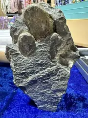 Pyrite Nodules In Blue Metal Repaired Specimen From Boral Quarry Lobethal, SA