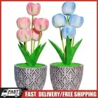 Home Flower LED Lamp Touch Control Dimmable LED Bedside Lamp USB Rechargeable