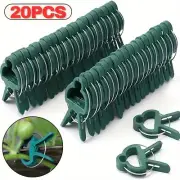 GARDEN PLANT CLIPS Tomato Tie Stem Orchid Support Weatherproof Grow Training AUS