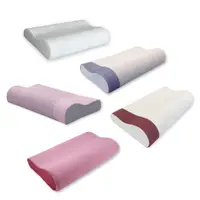 在飛比找蝦皮商城優惠-TENDAYS 玩色柔眠記憶枕(5色&8/10cm高枕頭 記