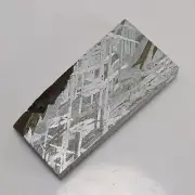 171g Muonionalusta meteorite slice R1448