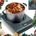Induction Cooktop Portable 2000W Electric Hob Pro Countertop Burner 99 Power...