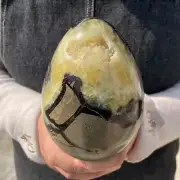 3.95LB Natural Dragon Septarian Quartz Egg Cluster Crystal Healing G5153