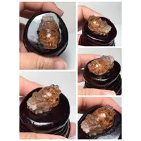 在飛比找蝦皮購物優惠-《小老闆天然水晶》彩幽靈龍龜天然水晶擺件 龍龜 彩幽靈龍龜 