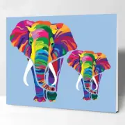 Paint by Numbers for Kids & Adults & Beginner DIY Canvas Painting Gift Kits f...