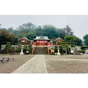 Save 10.00%! Ashikaga Flowers Park Pvt. One Day Tour with Pickup