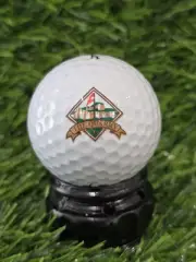 The Quarry Golf Course Club Vintage Logo Golf Ball *NEW*
