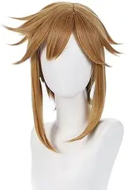 WYZDQYDH Zelda Breath Of The Wild Link Anime Party Costume Synthetic Cosplay Wig