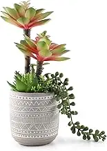 Artificial Succulents 11.4 Inch Realistic Textured Fake Succulents Faux Green Plants Aloe String of Pearls Potted Ceramic Plant for Home Decor Table Centerpiece