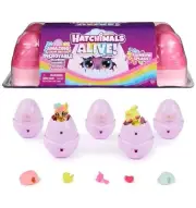 NIP Hatchimals Alive! Rainbow Splash Egg Carton 5 Eggs 10 Accessories