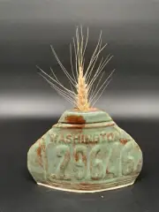 Vase 5” tall - Pottery Handmade - Slab Built - Small Studio Vancouver Artist