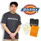 剩菊S 美線 Dickies WS01P 大尺碼 短T  LOGO 素T 上衣  潮牌 T恤 #7694