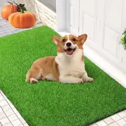 Artificial Grass Door Mat 39 X 31 Inches Artificial Grass for Dogs Profession...