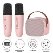 Mini Kids Karaoke Machine with Wireless Microphone Bluetooth Portable Speaker n7