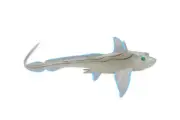 Ratfish Ghost Shark Realistic Toy Figure Model Replica Educational 9" CH324BB132