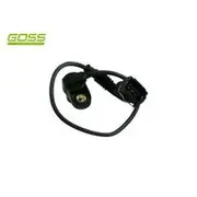 RAE Camshaft Position Sensor - SC383