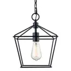 Trans Globe Lighting 30262 10"W Mini Pendant - Black