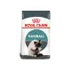 法國皇家 Royal Canin (IH34) 加強化毛貓 4公斤 (貓飼料)3包免運