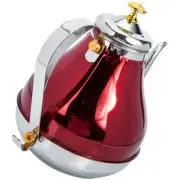 Stainless Tea Kettle Kettles Stovetop Travel Hot Water Teapot with Infuser