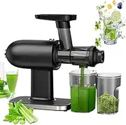 Juicer Machines,Slow Masticating Juicer, Horizontal Cold Press Juicer/Masticating Nutrition Juicer, Celery Juicer Machines, Cold Press Juicer Machines Vegetable and Fruit