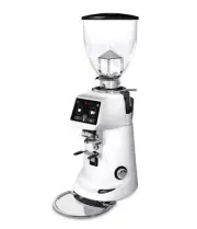 Fiorenzato F83 E Pro Coffee Grinder