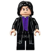 在飛比找蝦皮購物優惠-【樂高大補帖】LEGO 樂高 石內卜 Snape 哈利波特【