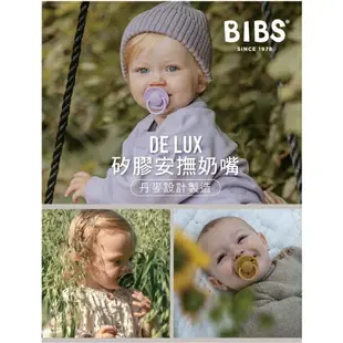 ⭐贈收納盒⭐ 丹麥 BIBS De Lux 矽膠奶嘴 安撫奶嘴 (0-18M)（多色可選）