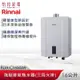 Rinnai 林內 16L 強制排氣熱水器 RUA-C1600WF 三段火排 智慧控溫系列