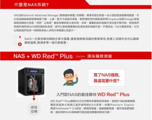 WD【紅標Plus】3TB 3.5吋 NAS硬碟(WD30EFZX)
