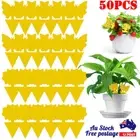 50PCS Strong Sticky Traps Insect Killer Plant Bug Fruit Fly Gnat Trap Paper AUS