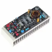 UAD1000W Mono High Power Digital Power Amplifier Board Class D HiFi Amp Module