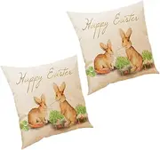 SWOOMEY Unique Design Pillowcase 2 Pack Pillow Protectors Easter Pillow Cover for Decor