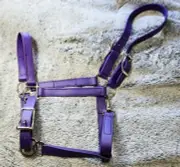 biothane horse halter