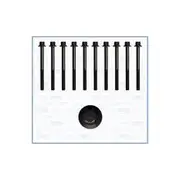 Austral Cylinder Head Bolt Set - 81042900