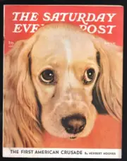 MAG: Saturday Evening Post 11/1/1941-Puppy photo cover-Charles Murdoff-James ...