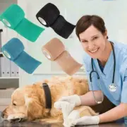 Teddy Dog Vet Wound Elastic Cohesive Bandage Self Adherent Wrap Tape Supply R3R5