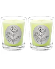 Qualitas Candles Tobacco Two Scented Beeswax Candle Set