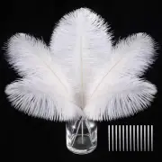 White Craft Ostrich Feathers - 30PCS 6-8 Inch Ostrich Feathers Kit for Centerpie