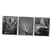 Palm Frond Details 3pc Canvas Wall Art Set 17 x 21 Gray Floater Framed Framed