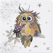 Bug Art Ceramic Coaster Tableware | for Home or Work | Cork Backed for Hot Drinks | Designed By Bug Art | Coasters (Otto Owl 2290)