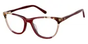 Ann Taylor ATP823 Eyeglasses Women Marsala Multi Cat Eye 50mm New 100% Authentic