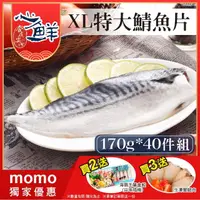 在飛比找momo購物網優惠-【心鮮】老饕最愛挪威鯖魚片40件組(170g-200g/片)