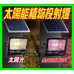 台灣出貨 LED太陽能植物燈 0電費 最新全光譜 植物生長燈 投射燈 補光燈 多肉植物 植物培育 蔬菜 室內花卉