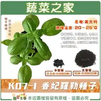 在飛比找樂天市場購物網優惠-【蔬菜之家】K07-1.香妃羅勒種子 (共2種包裝可選)