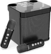 Dual Microphone Karaoke Machine Bluetooth PA Speaker System for Adults & Kids