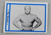 Ray Stevens #41 Pro Wrestling Legends Trading Card Wrestler 1991 WWE WWF