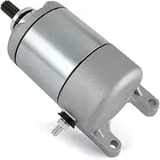 Starters Motorcycle Starter Motor Replacement Parts for XR250 XL250 CBX250 AX-1 AX1 NX2502 NX250 1988-1993 XR XL CBX NX 250